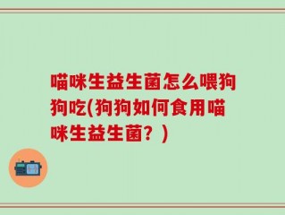 喵咪生益生菌怎么喂狗狗吃(狗狗如何食用喵咪生益生菌？)