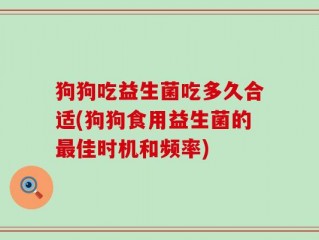 狗狗吃益生菌吃多久合适(狗狗食用益生菌的最佳时机和频率)