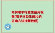 如何喂羊吃益生菌片视频(喂羊吃益生菌片的正确方法视频教程)