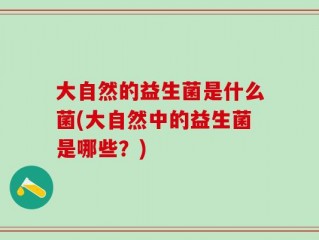 大自然的益生菌是什么菌(大自然中的益生菌是哪些？)