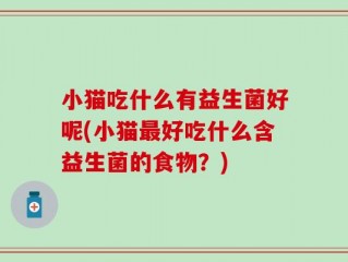 小猫吃什么有益生菌好呢(小猫最好吃什么含益生菌的食物？)