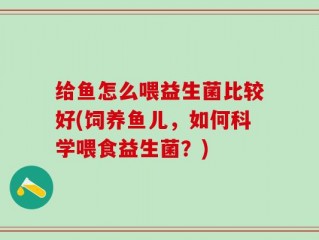 给鱼怎么喂益生菌比较好(饲养鱼儿，如何科学喂食益生菌？)
