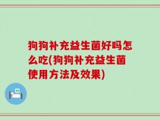 狗狗补充益生菌好吗怎么吃(狗狗补充益生菌使用方法及效果)