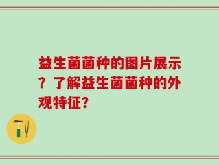 益生菌菌种的图片展示？了解益生菌菌种的外观特征？