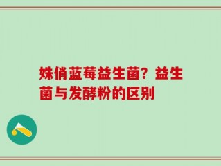 姝俏蓝莓益生菌？益生菌与发酵粉的区别