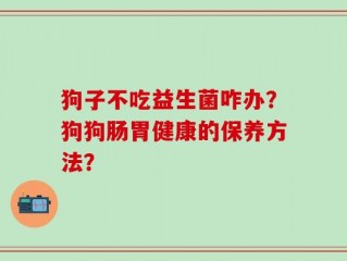 狗子不吃益生菌咋办？狗狗肠胃健康的保养方法？