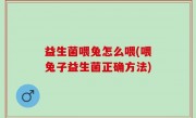 益生菌喂兔怎么喂(喂兔子益生菌正确方法)