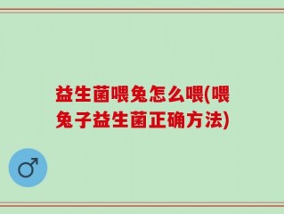 益生菌喂兔怎么喂(喂兔子益生菌正确方法)