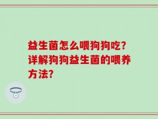益生菌怎么喂狗狗吃？详解狗狗益生菌的喂养方法？