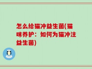 怎么给猫冲益生菌(猫咪养护：如何为猫冲注益生菌)