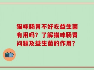猫咪肠胃不好吃益生菌有用吗？了解猫咪肠胃问题及益生菌的作用？