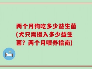 两个月狗吃多少益生菌(犬只需摄入多少益生菌？两个月喂养指南)