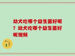 幼犬吃哪个益生菌好呢？幼犬吃哪个益生菌好呢视频