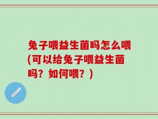 兔子喂益生菌吗怎么喂(可以给兔子喂益生菌吗？如何喂？)