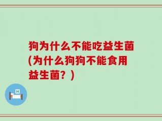 狗为什么不能吃益生菌(为什么狗狗不能食用益生菌？)