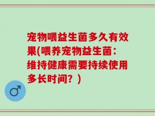 宠物喂益生菌多久有效果(喂养宠物益生菌：维持健康需要持续使用多长时间？)