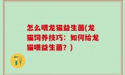 怎么喂龙猫益生菌(龙猫饲养技巧：如何给龙猫喂益生菌？)