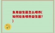 鱼用益生菌怎么喂养(如何给鱼喂养益生菌？)
