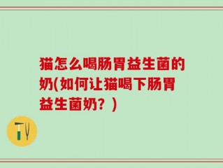 猫怎么喝肠胃益生菌的奶(如何让猫喝下肠胃益生菌奶？)