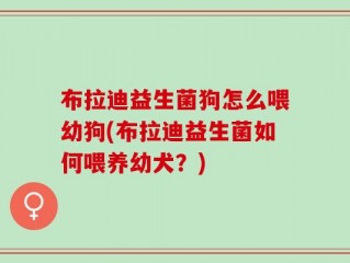 布拉迪益生菌狗怎么喂幼狗(布拉迪益生菌如何喂养幼犬？)