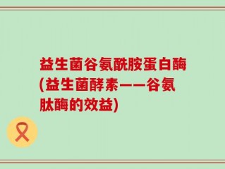 益生菌谷氨酰胺蛋白酶(益生菌酵素——谷氨肽酶的效益)