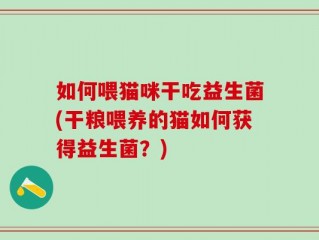 如何喂猫咪干吃益生菌(干粮喂养的猫如何获得益生菌？)