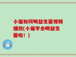 小猫如何喝益生菌视频播放(小猫学会喝益生菌啦！)
