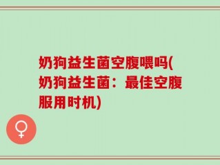 奶狗益生菌空腹喂吗(奶狗益生菌：最佳空腹服用时机)