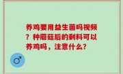 养鸡要用益生菌吗视频？种蘑菇后的剩料可以养鸡吗，注意什么？