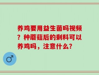 养鸡要用益生菌吗视频？种蘑菇后的剩料可以养鸡吗，注意什么？