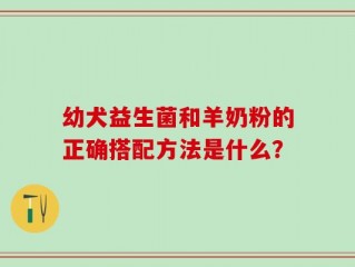 幼犬益生菌和羊奶粉的正确搭配方法是什么？