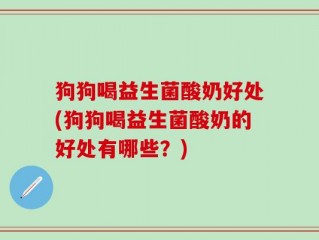 狗狗喝益生菌酸奶好处(狗狗喝益生菌酸奶的好处有哪些？)