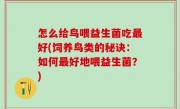 怎么给鸟喂益生菌吃最好(饲养鸟类的秘诀：如何最好地喂益生菌？)