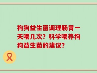 狗狗益生菌调理肠胃一天喂几次？科学喂养狗狗益生菌的建议？