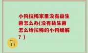 小狗拉稀家里没有益生菌怎么办(没有益生菌怎么给拉稀的小狗缓解？)