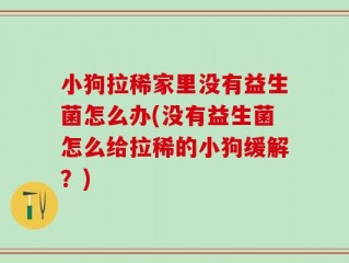 小狗拉稀家里没有益生菌怎么办(没有益生菌怎么给拉稀的小狗缓解？)
