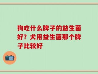 狗吃什么牌子的益生菌好？犬用益生菌那个牌子比较好
