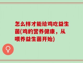 怎么样才能给鸡吃益生菌(鸡的营养健康，从喂养益生菌开始)