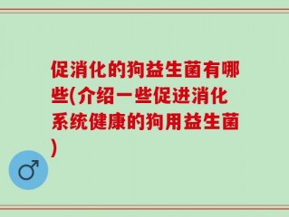 促消化的狗益生菌有哪些(介绍一些促进消化系统健康的狗用益生菌)