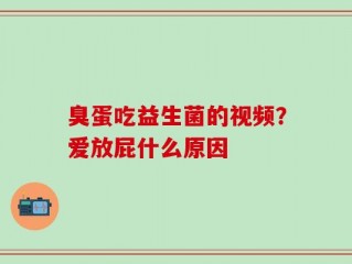 臭蛋吃益生菌的视频？爱放屁什么原因
