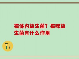 猫体内益生菌？猫咪益生菌有什么作用