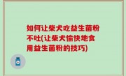 如何让柴犬吃益生菌粉不吐(让柴犬愉快地食用益生菌粉的技巧)