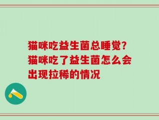 猫咪吃益生菌总睡觉？猫咪吃了益生菌怎么会出现拉稀的情况