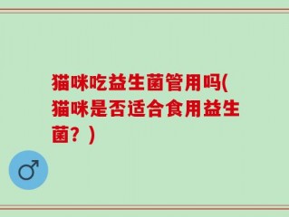 猫咪吃益生菌管用吗(猫咪是否适合食用益生菌？)
