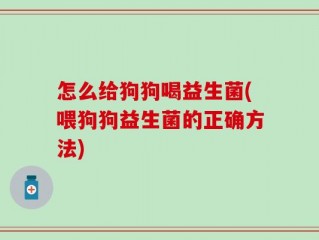 怎么给狗狗喝益生菌(喂狗狗益生菌的正确方法)
