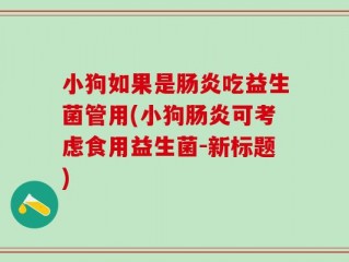 小狗如果是肠炎吃益生菌管用(小狗肠炎可考虑食用益生菌-新标题)
