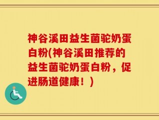 神谷溪田益生菌驼奶蛋白粉(神谷溪田推荐的益生菌驼奶蛋白粉，促进肠道健康！)