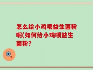 怎么给小鸡喂益生菌粉呢(如何给小鸡喂益生菌粉？