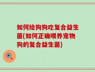 如何给狗狗吃复合益生菌(如何正确喂养宠物狗的复合益生菌)