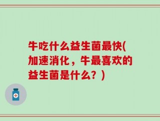 牛吃什么益生菌最快(加速消化，牛最喜欢的益生菌是什么？)